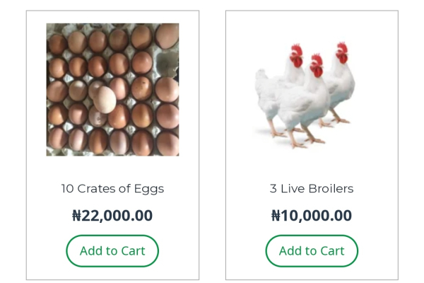 Nigeria : Daydone promeut les produits agricoles locaux et leur commercialisation en ligne