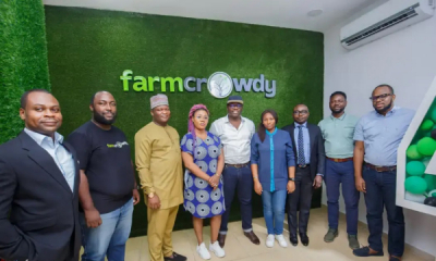 Nigeria: Farmcrowdy Foods facilitates fresh farm products’ purchase