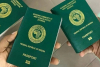 Nigeria: Federal Government Digitizes Passport Application Process with Launch of Online Portal
