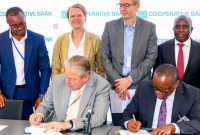 Kenya Tackles Startup Funding Constraints With DigiKen Program