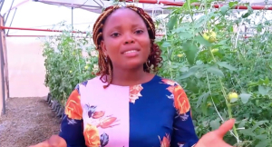 Ghana: Anaporka Adazabra eases greenhouse farming with tech tools