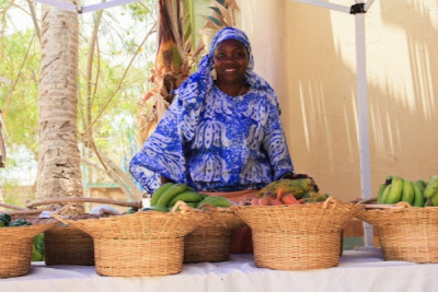 Senegalese Startup Soretuul Connects Consumers with Local Products via Web Platform