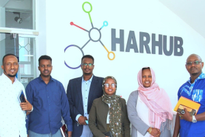 Au Somaliland, Harhub construit une communauté d’entrepreneurs et aide les start-up à se développer