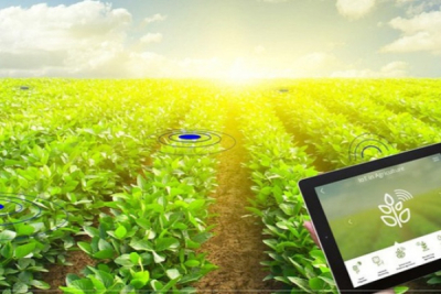 tanzania-and-morocco-launch-satellite-based-system-for-digital-harvest-data-collection