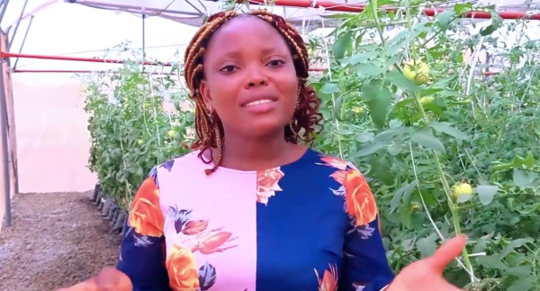 Au Ghana, Anaporka Adazabra soutient les agriculteurs avec ses solutions numériques de culture sous serre
