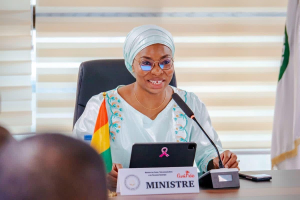 La Guin&eacute;e dresse son bilan 2025 pour le secteur num&eacute;rique