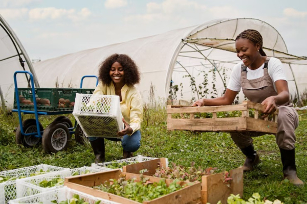Global AgriInno Challenge 2025 Opens Call for Youth-Led Agritech Innovations
