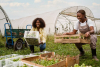 Global AgriInno Challenge 2025 Opens Call for Youth-Led Agritech Innovations