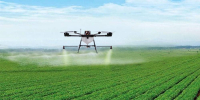 Gabon : la FAO organisera un webinaire sur la transformation numérique de l'agriculture en Afrique centrale