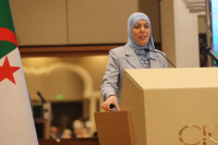 Algeria launches Dzair Services to centralize public digital platforms