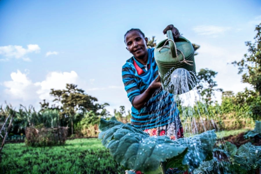 ethiopia-lersha-helps-smallholder-farmers-improve-yields