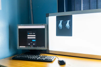 Egyptian Healthtech Rology Attracts Investment From Leading Global Health Institutions