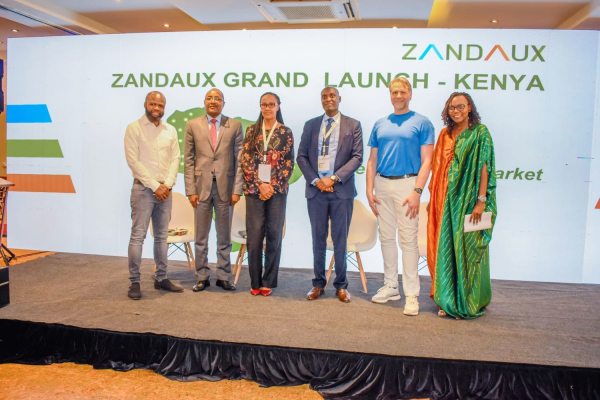 Zandaux, la plateforme sud-africaine de commerce en ligne, s’implante au Kenya