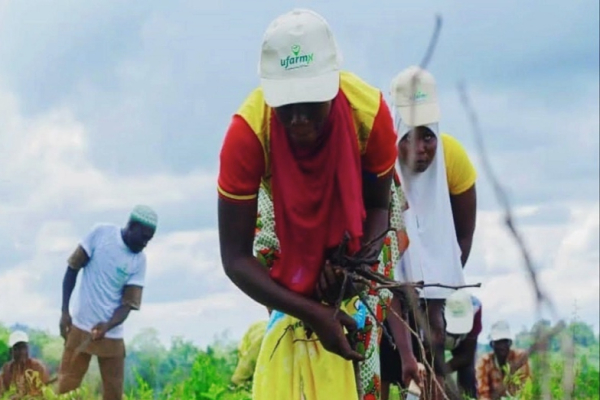 Nigeria : l’agritech UfarmX s’étend au Sénégal