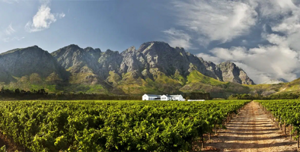 Afrique du Sud : Impact Hub ouvre un espace d’innovation au district de Cape Winelands