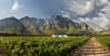 Afrique du Sud : Impact Hub ouvre un espace d’innovation au district de Cape Winelands