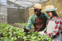 L’accélérateur Impact Lab révèle les 13 lauréats de la deuxième cohorte de son programme Launchpad Agritech