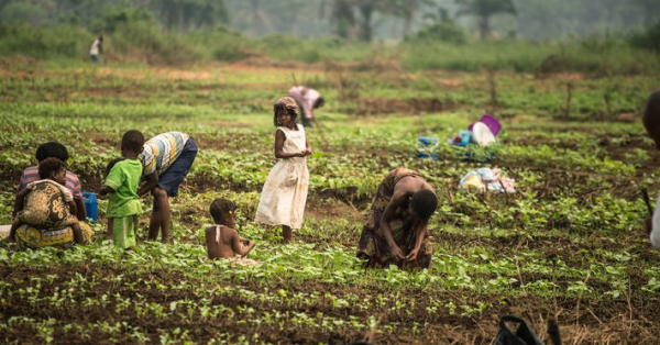 La FAO prépare une carte numérique des sols et leur composition en Afrique subsaharienne