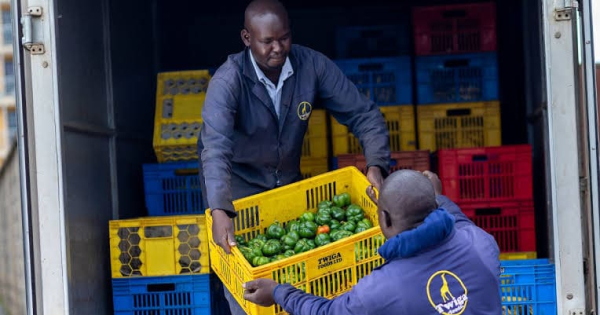 Twiga Foods suspend ses activités à Nairobi dans le cadre d’une restructuration