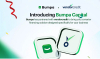 Nigeria: Bumpa and Vendorcredit launch financing platform for SMEs