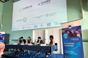 En Algérie, Leancubator soutient les projets en rapport avec l’économie bleue et verte, la foodtech et la fintech