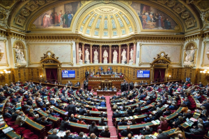 France : l&#039;Assemblée nationale favorable à une loi interdisant la promotion de cryptomonnaies sans licence