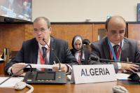 L’Algérie a mobilisé 1 milliard USD en un mois pour soutenir les start-up africaines