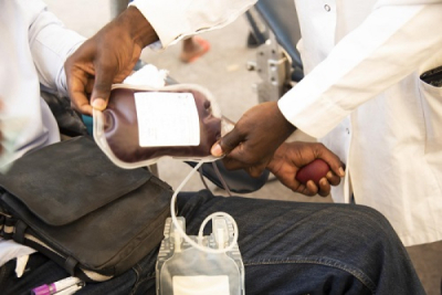 djooli-tackles-mali-s-blood-shortage-by-connecting-donors-and-patients