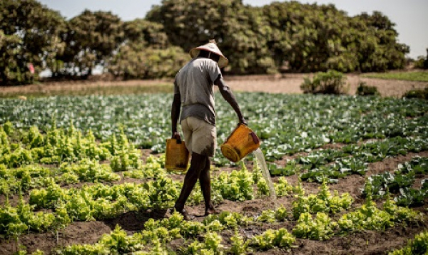 Sénégal : Afrikamart réussit son premier tour de table d’un montant de 850 000 $ pour soutenir sa croissance