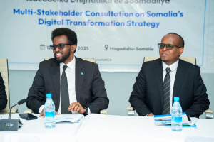 Transformation digitale : la Somalie peaufine sa feuille de route 2025–2030