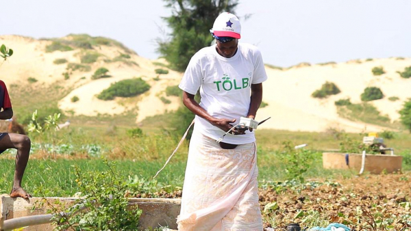 Avec ses solutions connectées, la start-up sénégalaise Tolbi améliore l’irrigation des champs et leur rendement