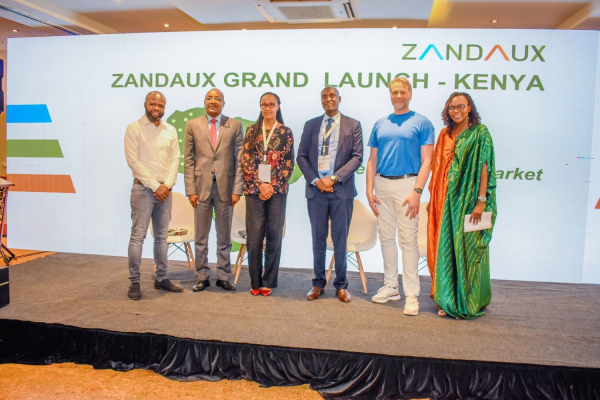 South African e-commerce platform Zandaux expands to Kenya, eyes continental growth