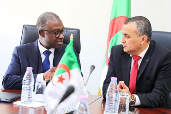Algeria Plans Framework Agreement to Boost Youth Role in National Digital Strategy