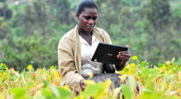 Cameroun : avec Agrix Tech, les agriculteurs veillent sur leurs cultures grâce à l’IA
