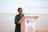 Land affairs: Rwanda launches e-title