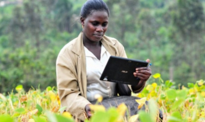 Zimbabwe&rsquo;s Maminda Combines AI and Fintech to Support Smallholder Farmers