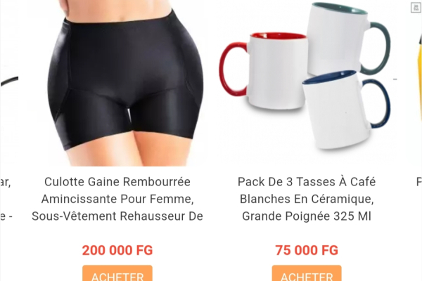 Guinea: Arabinènè Connects Customers and Sellers on Its Online Marketplace