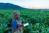 Satellite Internet Expansion: Orange, Eutelsat Target Africa&#039;s Underserved Areas