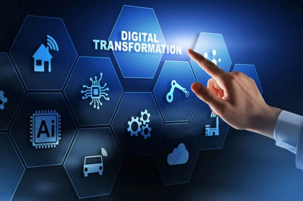 Algeria Seeks National Expert to Support Digital Transformation Strategy