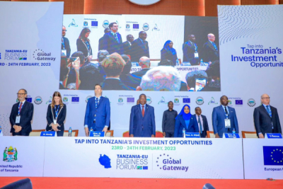 Tanzania woos investments for its ICT sector