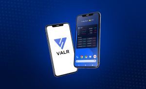 La fintech sud-africaine VALR obtient deux licences du régulateur des finances