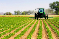 Morocco Bets on Agritech to Strengthen Food Security