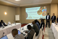 Guinea central bank starts work on instant payment system