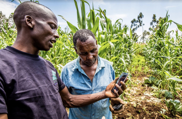Kenya: AI-based agritech Apollo Agriculture helps farmers maximize profits