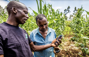 Apollo Agriculture, une solution agritech basée sur l’IA qui aide les paysans kényans