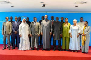 Le Sénégal installe officiellement son Conseil national du numérique