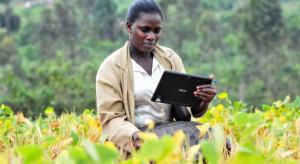 Cameroon: Agrix Tech facilitates crop disease management