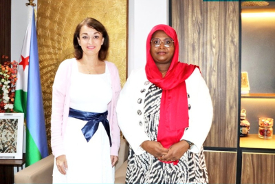 djibouti-et-la-roumanie-explorent-une-cooperation-numerique-prometteuse
