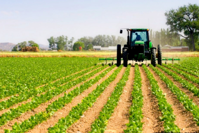 le-maroc-parie-sur-l-agritech-comme-levier-de-souverainete-alimentaire