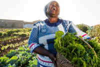 Climat : en Afrique, des solutions tech locales émergent face à l’urgence
